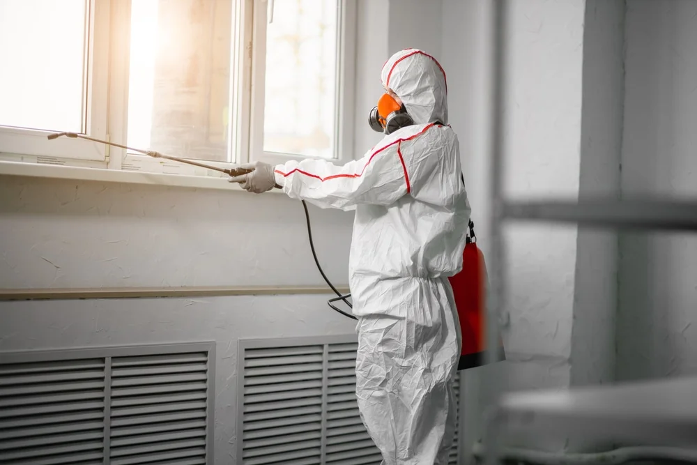 Professional mold remediation services in North Hills, CA